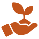 Plant A Tree
