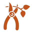 Pruning