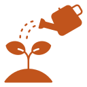 Watering Plants